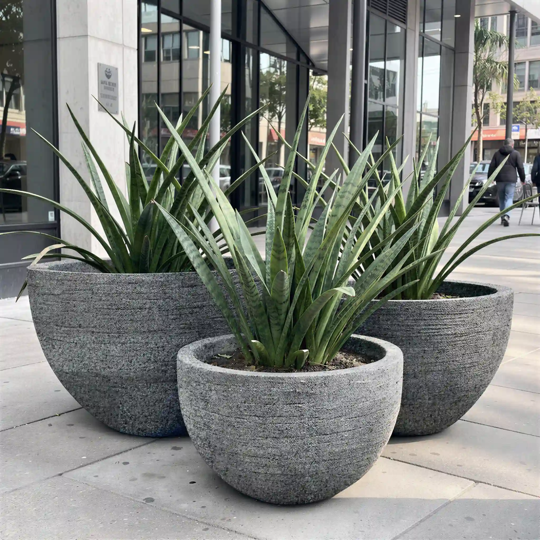 A broad-profile matte-black landscape pan used for an arid botanical display. Seamlessly integrated into contemporary hardscape environments and modern retaining walls